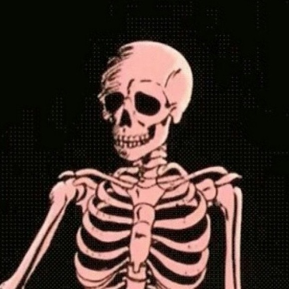 Meet your Posher, Conner - Picture 1 of 1